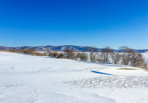 雪原