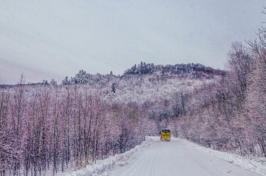 雪中公路