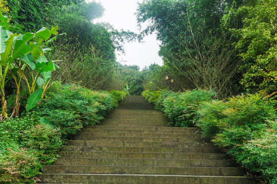 大足南山公园