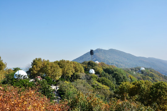 紫金山风景