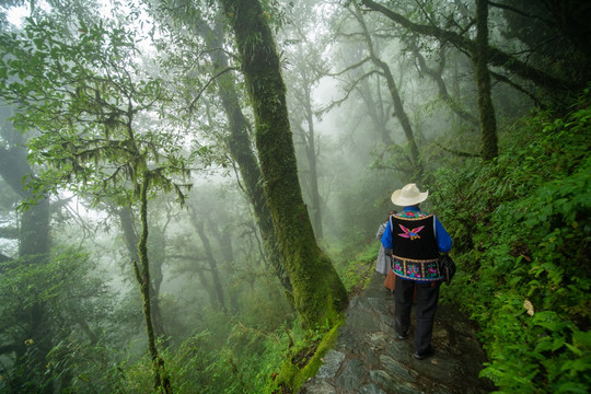 行走在原始森林薄雾中的少数民族