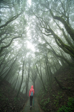 原始森林薄雾中徒步的红衣女子