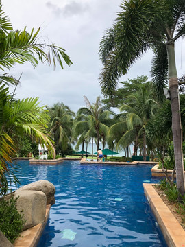 椰子树游泳池