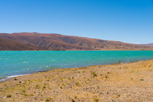 西藏拉孜县的一个双色湖022