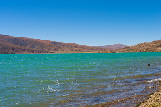 西藏拉孜县的一个双色湖023