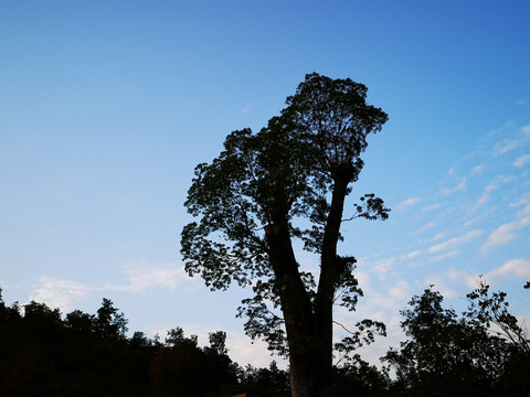 景区