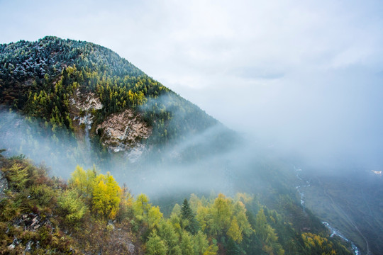 四姑娘山