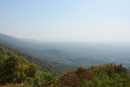 紫金山远眺