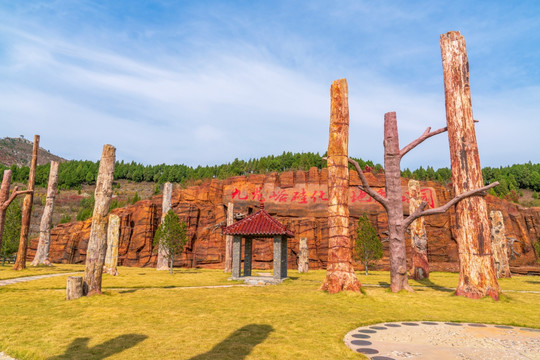 青州九龙峪硅化木地质公园