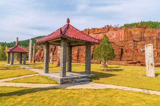 青州九龙峪硅化木地质公园