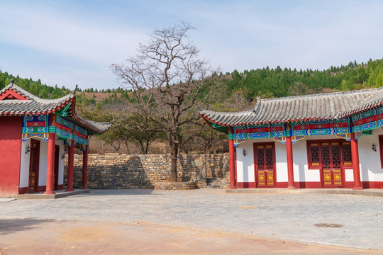 柿子树仿古建筑