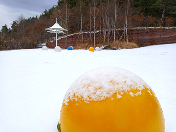 冰雪湖畔