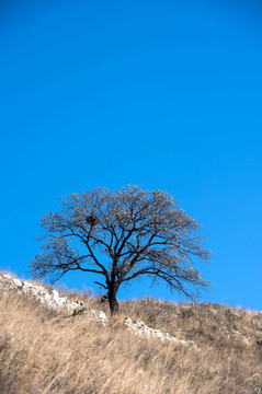 山乡秋景