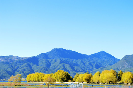 丽江风景
