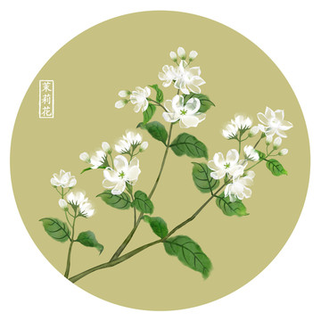 茉莉花