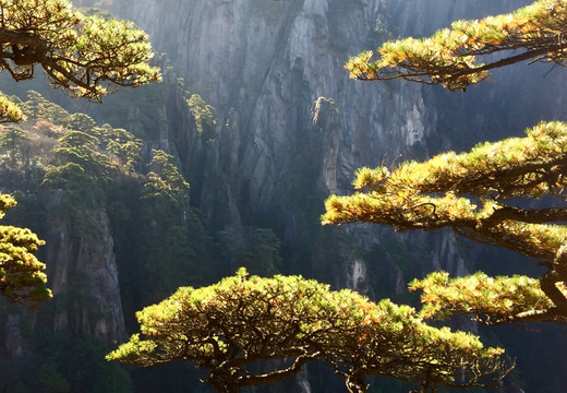 黄山风景