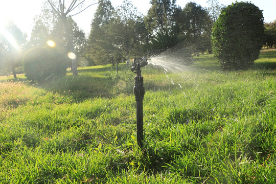 草坪上喷水的喷灌器