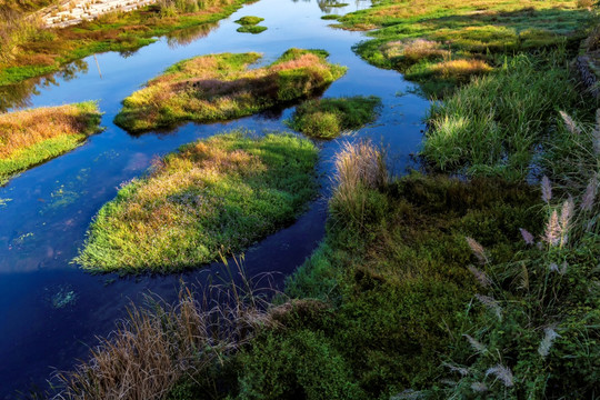 溪流湿地