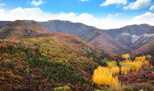 五彩山坡风景图