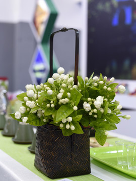 茉莉花