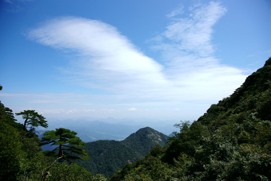 三清山的松树和山峰