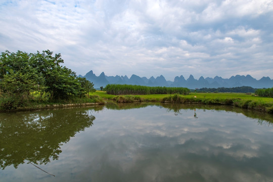 鱼塘池塘风景