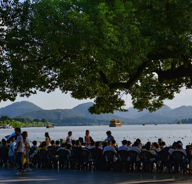 杭州西湖音乐喷泉香樟树