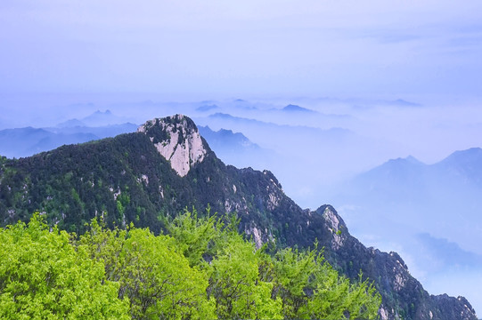 云雾泰山