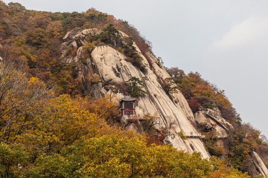 凤凰山红叶秋色自然风光23