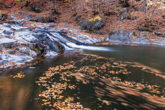 红叶秋色瀑布流水自然景观35