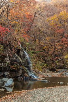 红叶秋色瀑布流水自然景观44
