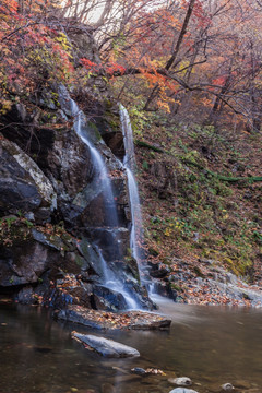 红叶秋色瀑布流水自然景观47