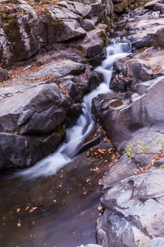 红叶秋色岩石流水自然景观26