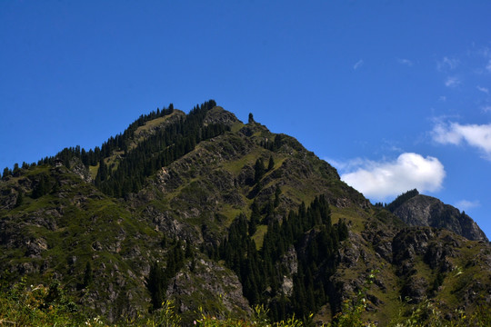 天山天池