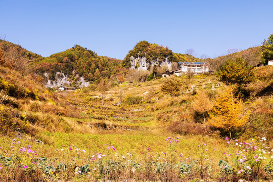 山野秋景