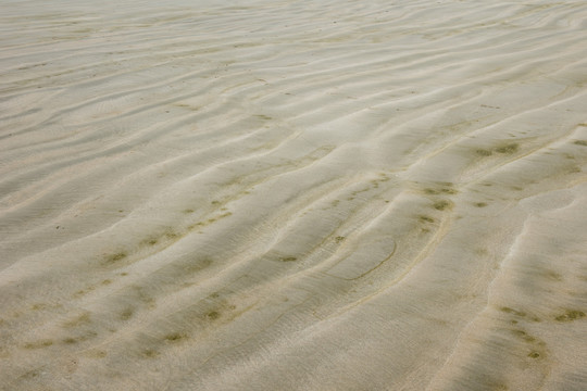 石浦沙滩