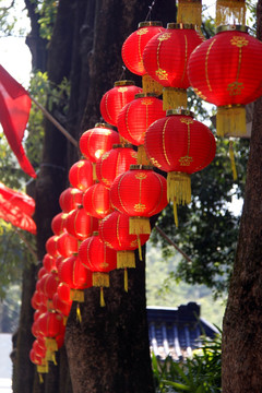 灯笼