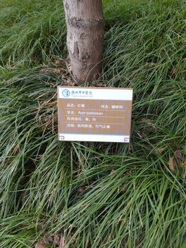 树铭牌