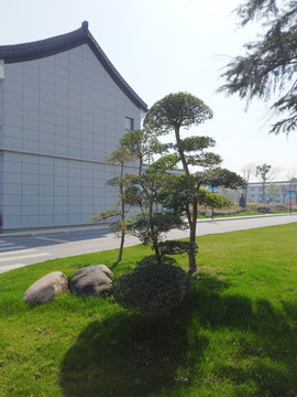 园区小景