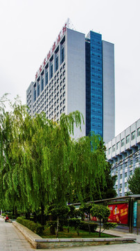 辽宁省肿瘤医院与树木