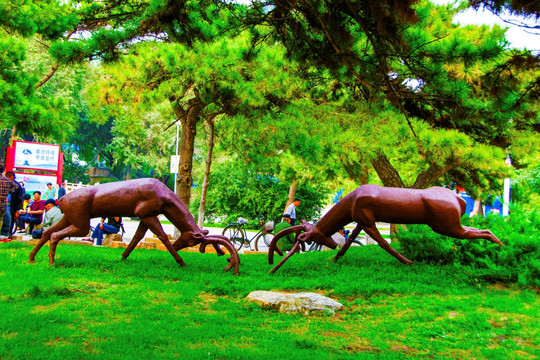 松树下的两只对决的公鹿雕塑