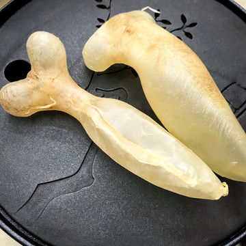 花胶蜘蛛胶