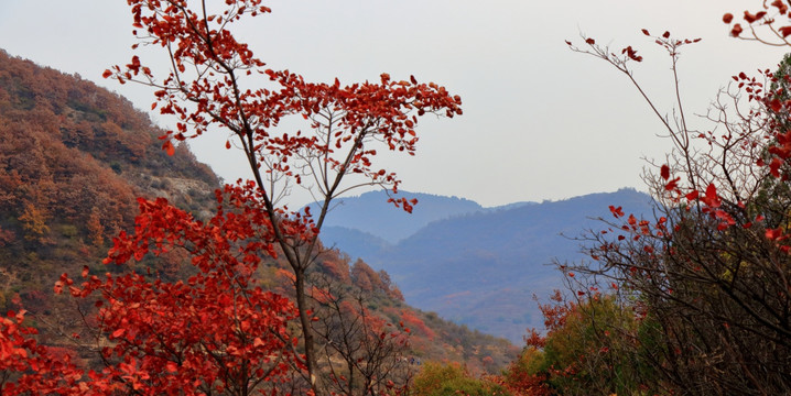 山野秋色