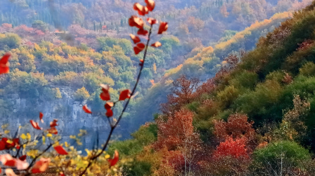 山野秋色