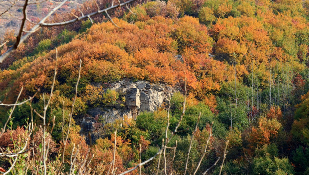 山野秋色