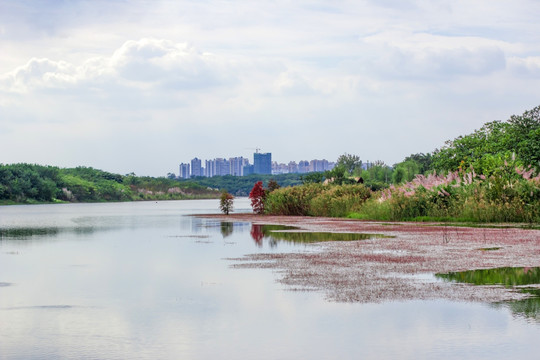 青龙湖公园