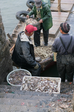 胶州湾渔民