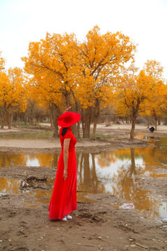 胡杨林中的红衣女人