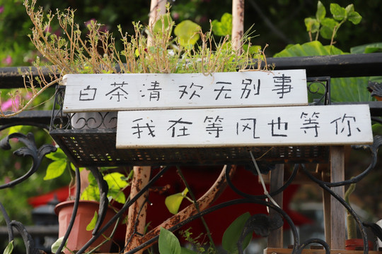 园艺装饰