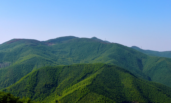 莫干山